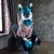 look-at-what-beautiful-fursuits-of-skulldogs-my-husband-v0-92jtc5zingkb1
